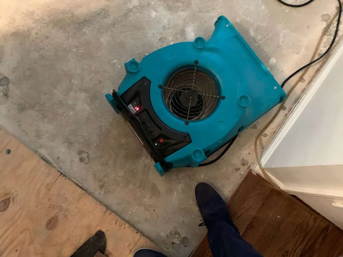 Air mover drying subfloor during Commercial Water Damage Restoration in South Monrovia Island